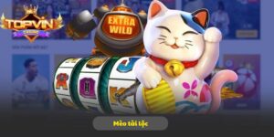 Mèo tài lộc