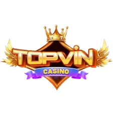 TOPVIN
