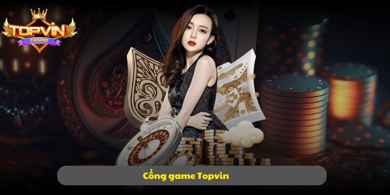 Topvin
